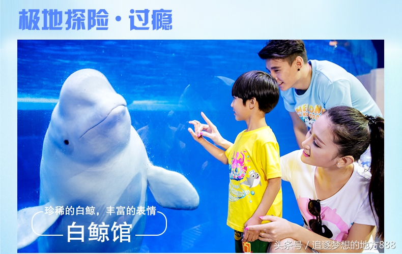 珠海长隆科学酒店攻略,长隆套票二天一晚攻略