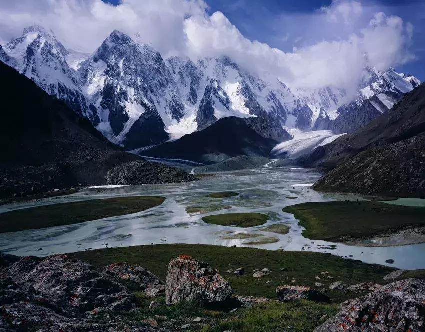 博格达特制茯砖茶价格,博格达安化黑茶