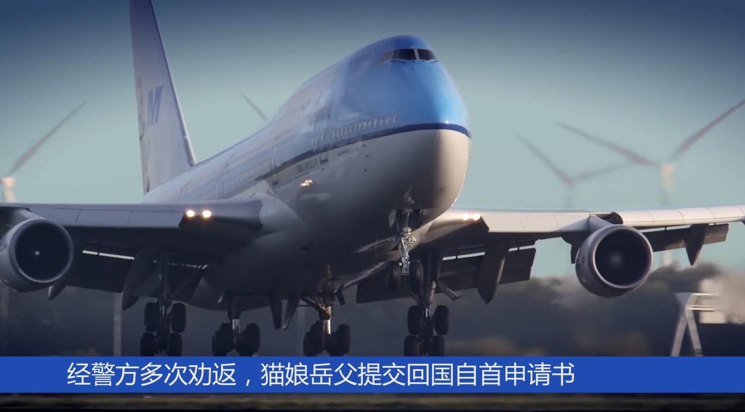 网红售假被立案,售假网红最终归案是咋回事