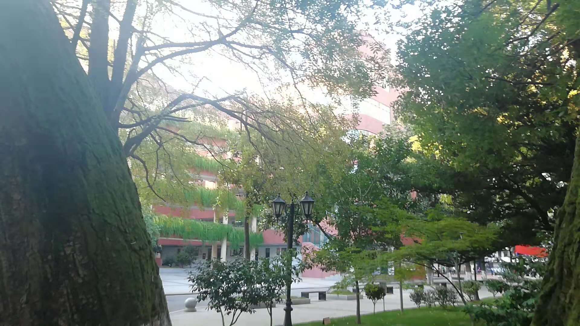 探访南昌学校,南昌十中辉煌史