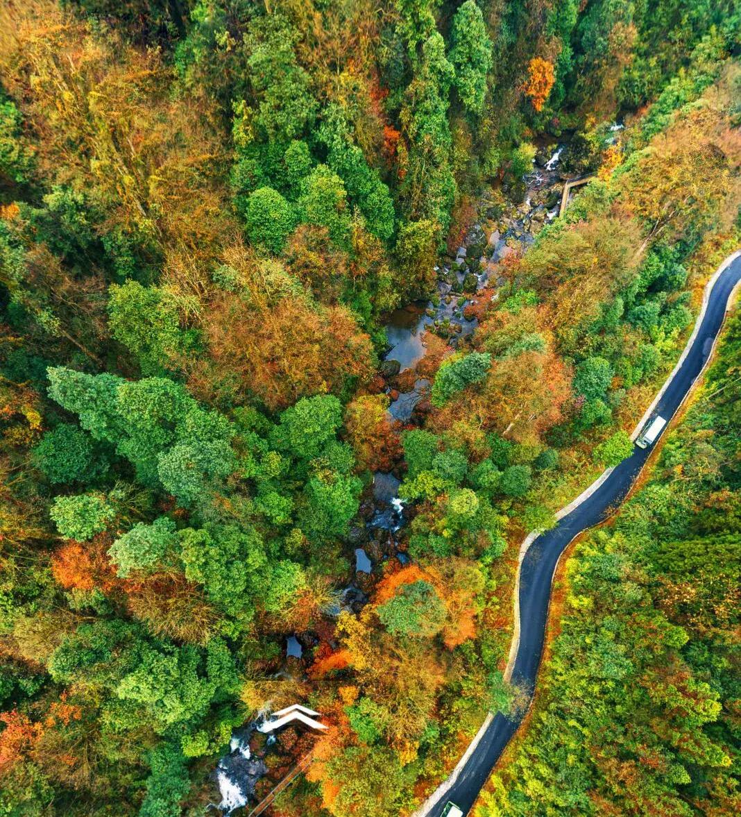 成都出发哪条线路秋景最美,成都出发两小时看满山红叶