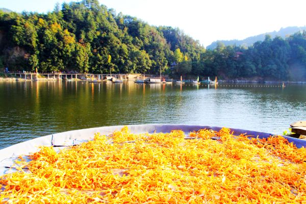 新安江山水画廊冬季好玩吗,新安江山水画廊景区精华