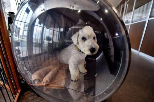 医院因为新冠造成误诊,医院误诊导致肺炎