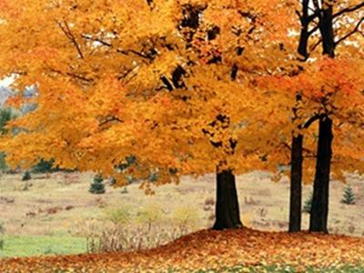 单反数码摄影入门教程,数码单反摄影进阶完全教程