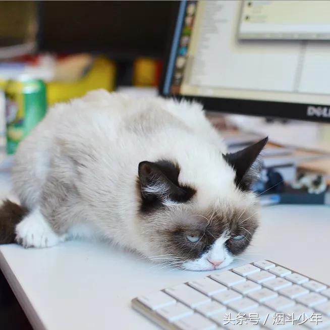 儿童冬季克服赖床小妙招,赖床可以用意志力克服吗