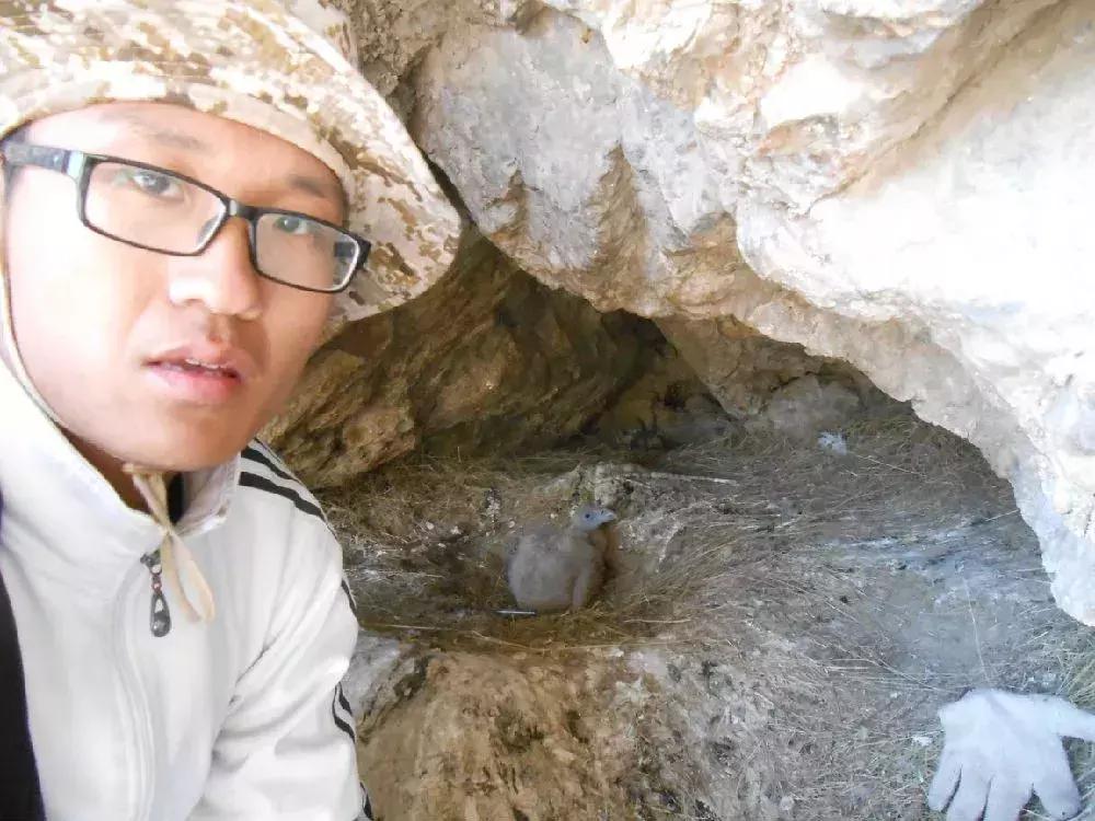 在山里遇到野猪怎么保护自己,在野外踩到蛇窝了怎么办