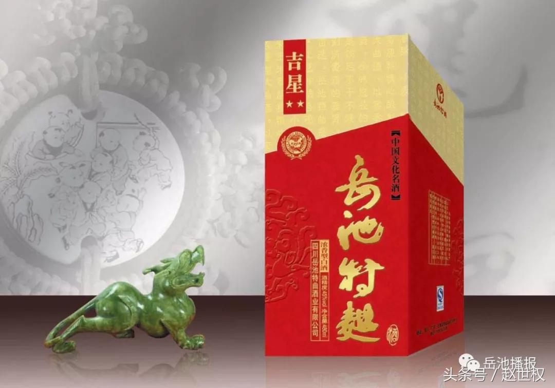 岳池最近发展,岳池未来如何发展