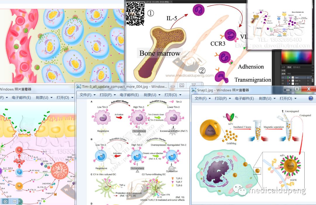医学插画插图,医学插画sci