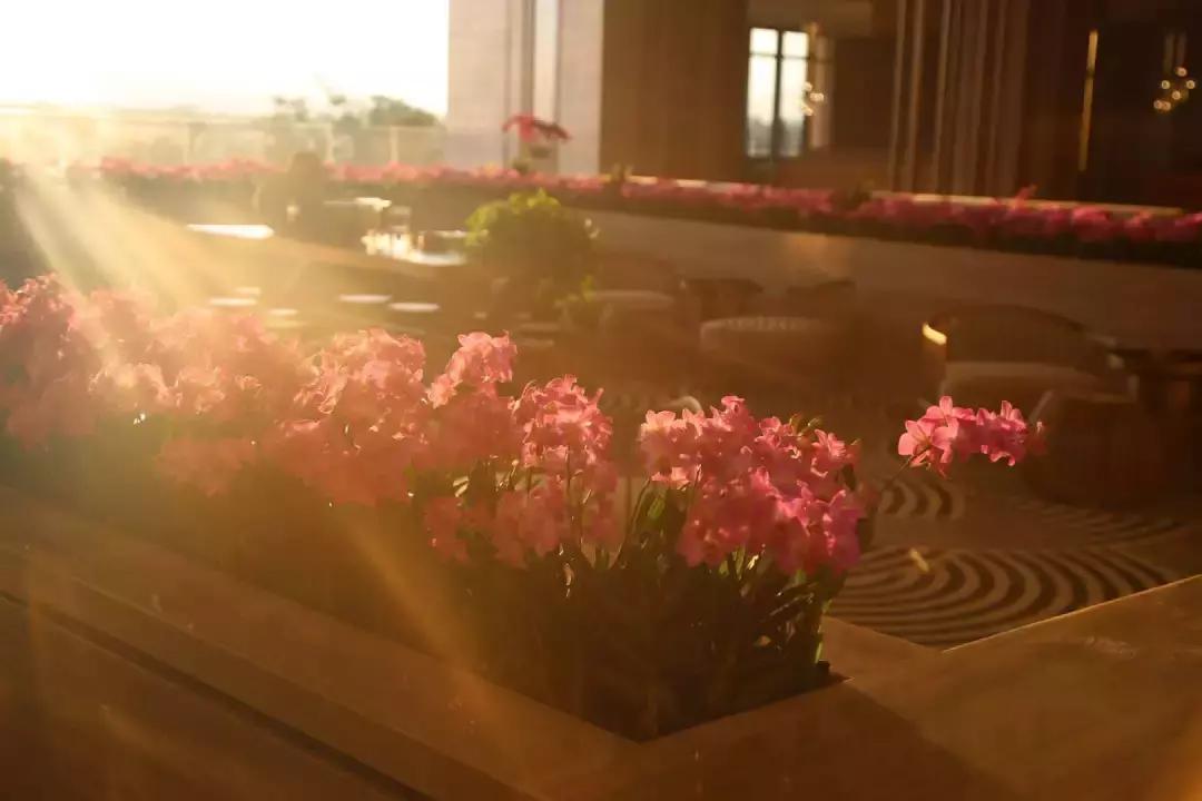 五缘湾逸林希尔顿泳池,无锡希尔顿逸林泳池