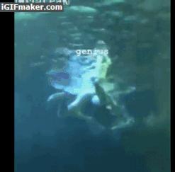 一男子跳进鲨鱼池,美国一男子跳进水族馆鱼缸