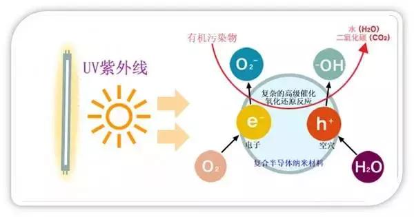 甲醛引起儿童白血病的几率有多大,甲醛导致儿童白血病