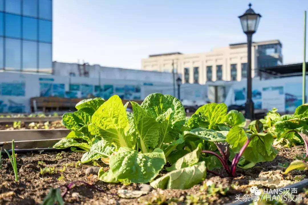 走，一起去武汉奇妙顶楼天台踢球蹦迪撸串