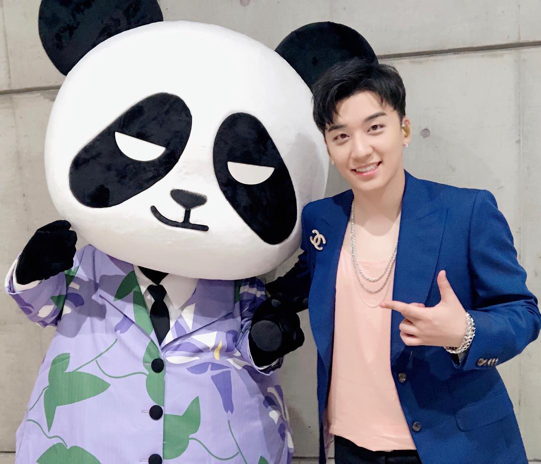 河智苑的韩国艺人,河智苑韩流