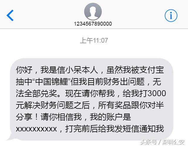 锦鲤活动什么时候开始的,锦鲤活动的关键点