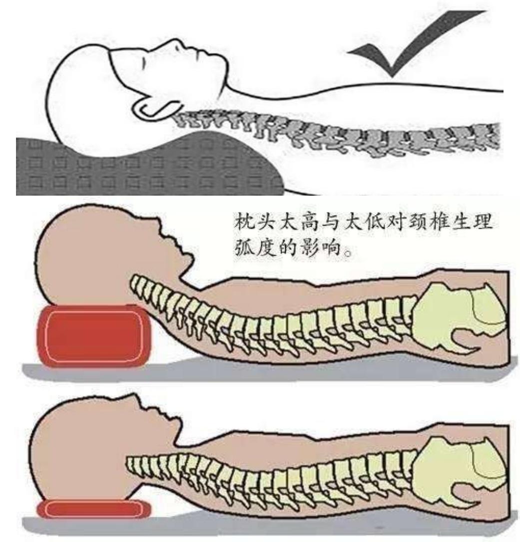 枕头真的有那么多的功效吗,医生推荐的颈椎枕头有用吗