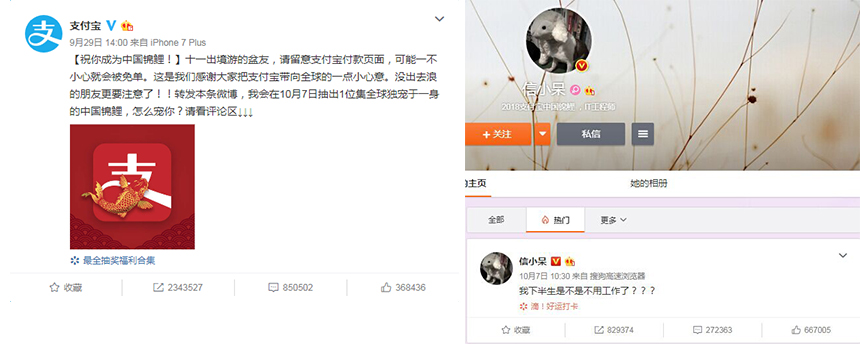 我能注册网红“锦鲤”商标吗？对不起你不能！