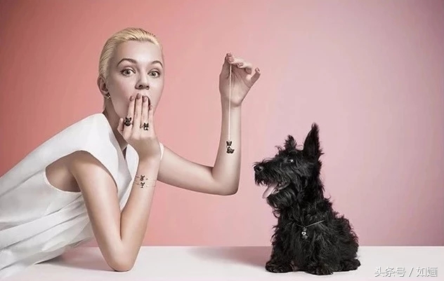 朱一龙同款珍珠手链,朱一龙人生大事同款手镯