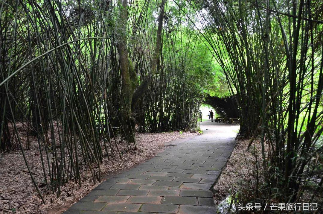 广东韶关丹霞山风景区游览图,广东韶关丹霞山好不好玩