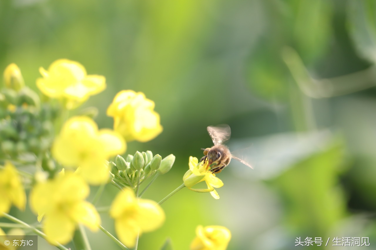 一个人太强势的表现,一个人太强势了是什么意思