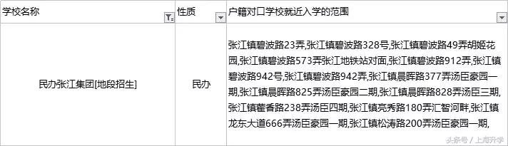 上海民办张江集团学校,浦东新区张江集团学校