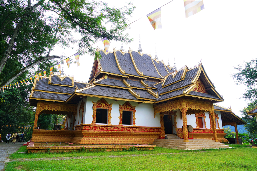 秀丽神奇的西双版纳完整版,云南西双版纳神奇的地方