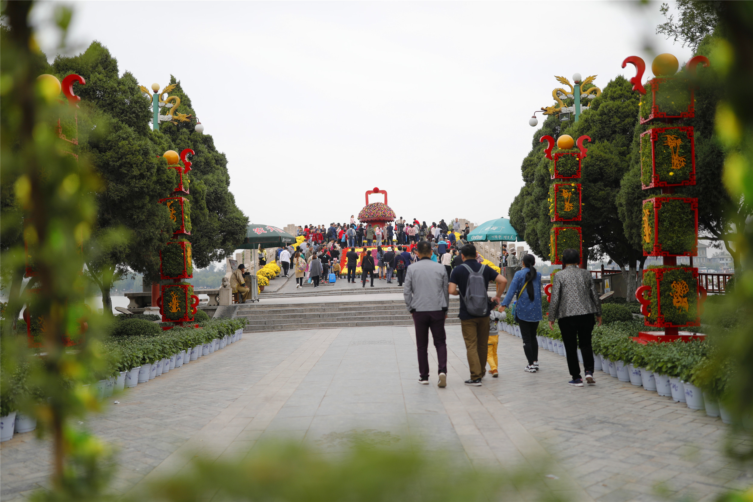 开封清明上河园龙亭两日游,自由行说走就走的旅行开封赏菊