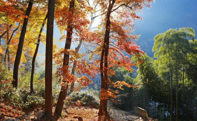 沪苏湖高铁上海到横店,沪苏湖高铁上海到安庆