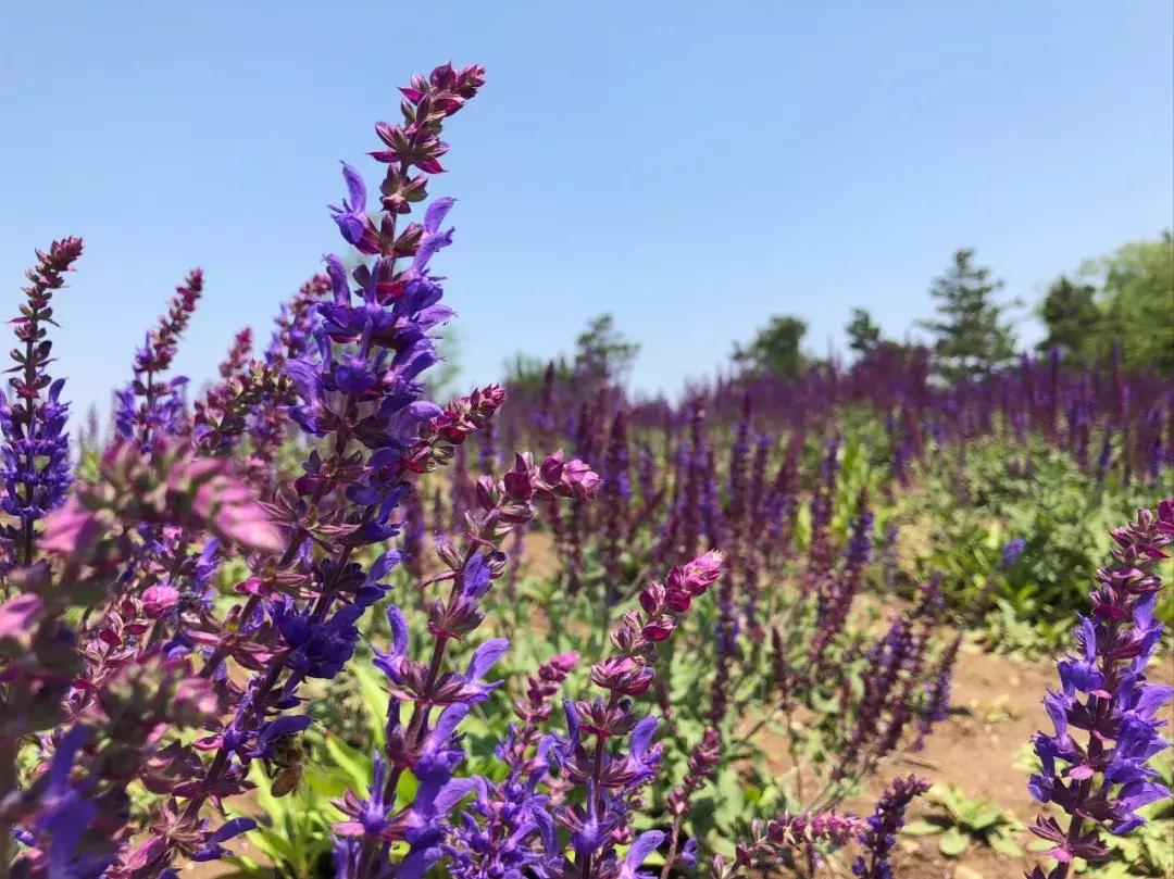 秋意浓，又到了泡温泉的好时节！南京汤山可真是个泡温泉的好地方