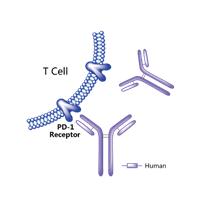 全球2019批准新药,全球新药的发展趋势