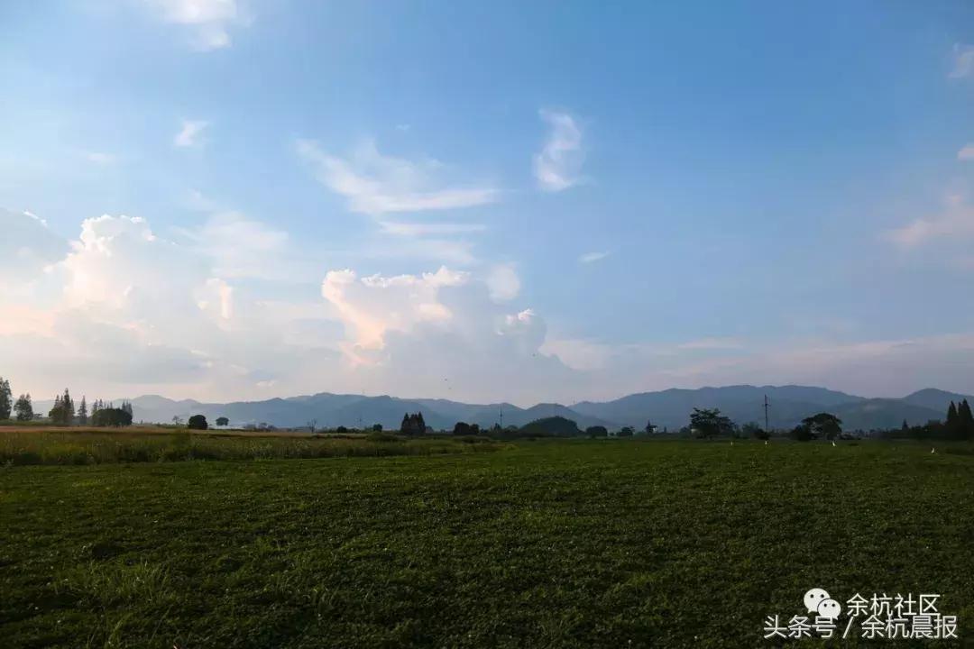 9090000㎡！余杭新增一大型公园，1299个足球场大！