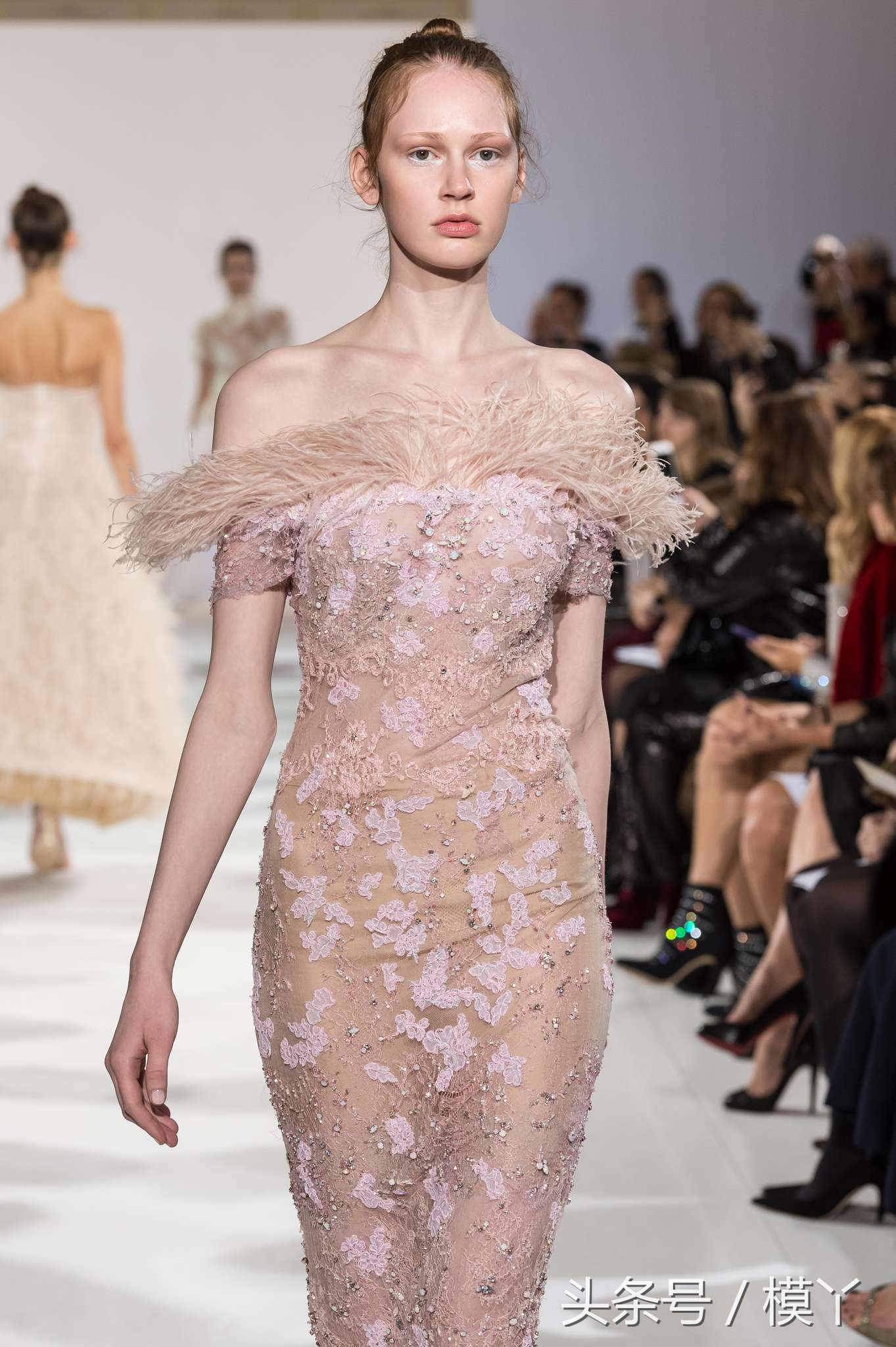 celiakritharioti楂樺畾,celiakritharioti濠氱罕