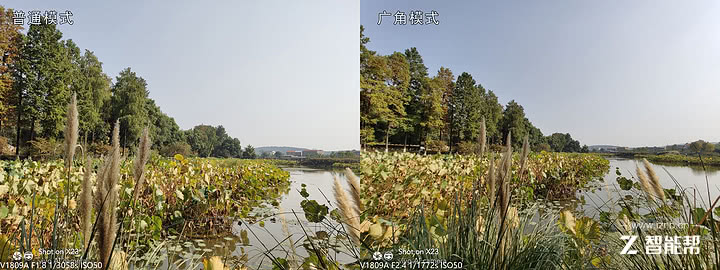 vivox23全面评测,vivox23个人评测别无他意