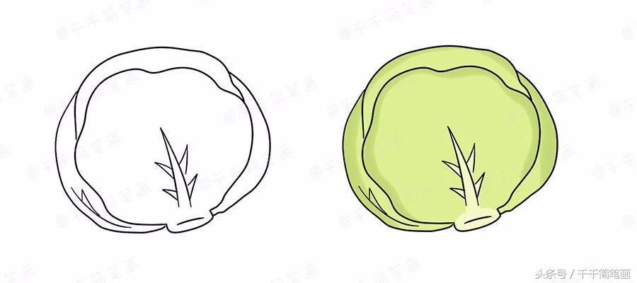 绘画蔬菜成长记,蔬菜成长记绘画图文