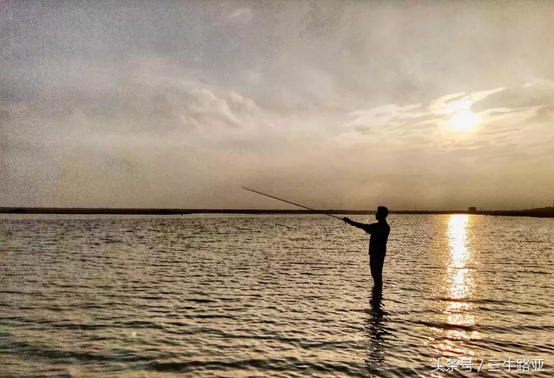 夏季如何路亚大口黑鲈,ewe路亚海鲈