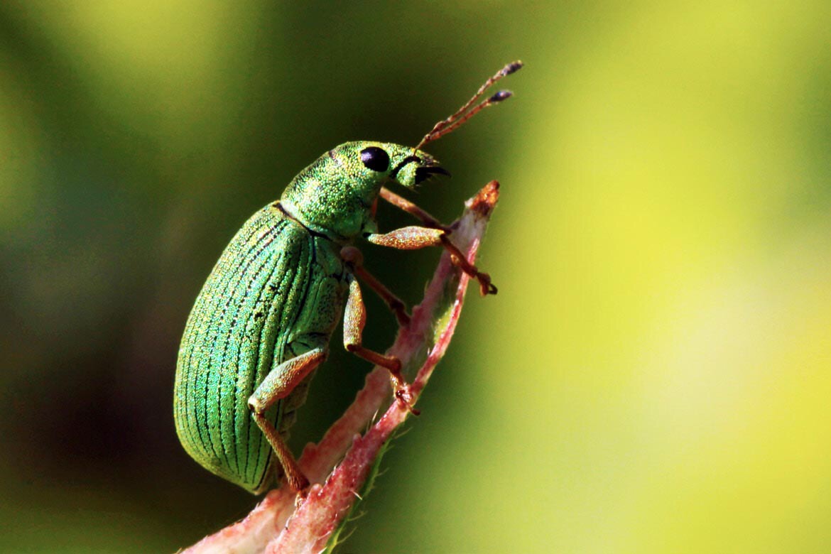 单反拍摄视频对焦模式,尼康单反对焦模式怎样设置