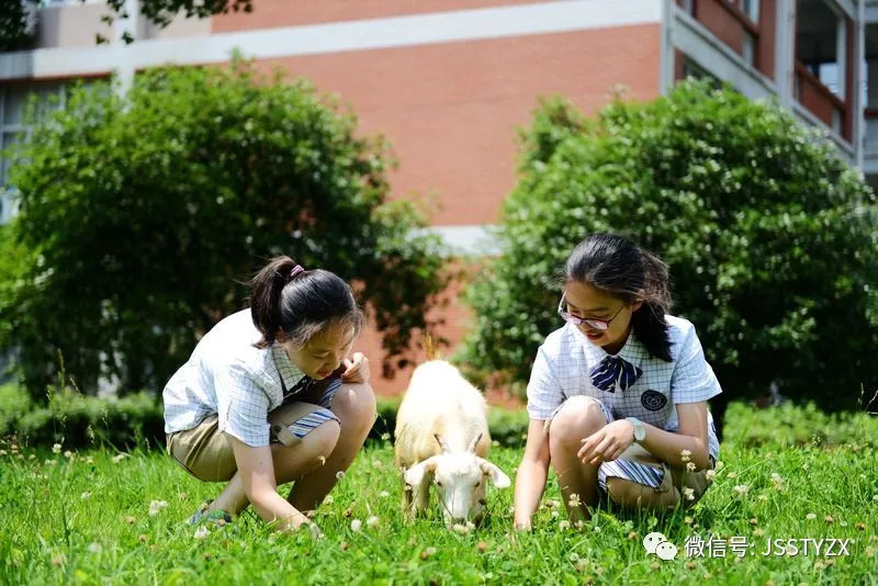 无锡天一和省锡中哪个好,无锡大桥高中和天一高中哪个好