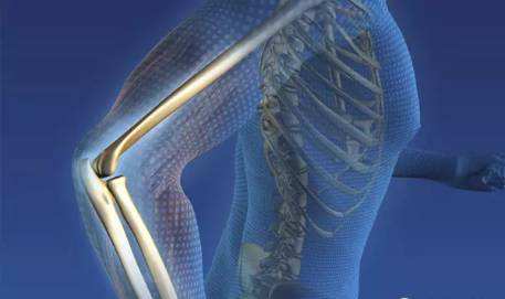 人体各器官过了保质期该怎么办,人体各个器官的保质期有多久