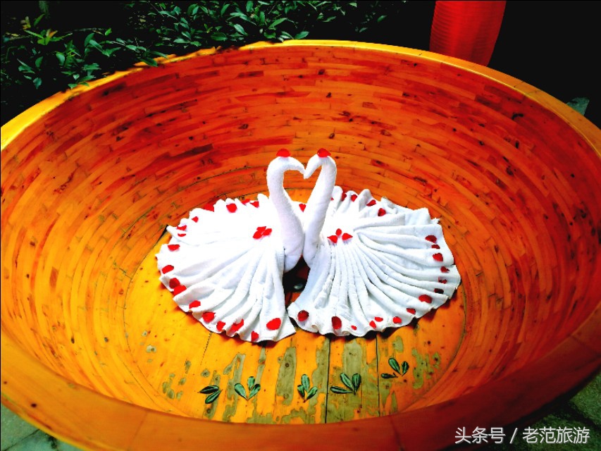 赏山赏水享人生,赏景温泉