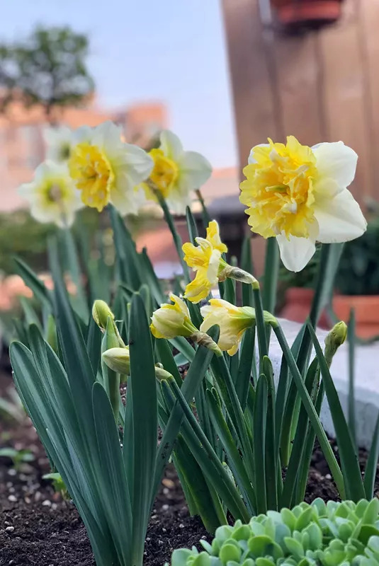 58平米老破房神级爆改,28平米老房爆改精致四居后续