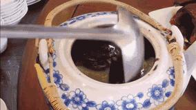 广东的杏花鸡,广东哪里有杏花鸡