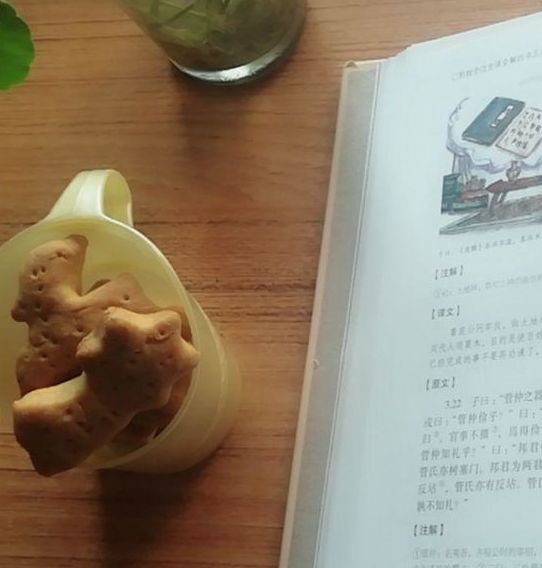 又好吃又酥脆的饼干,简单易学的无糖小饼干教程