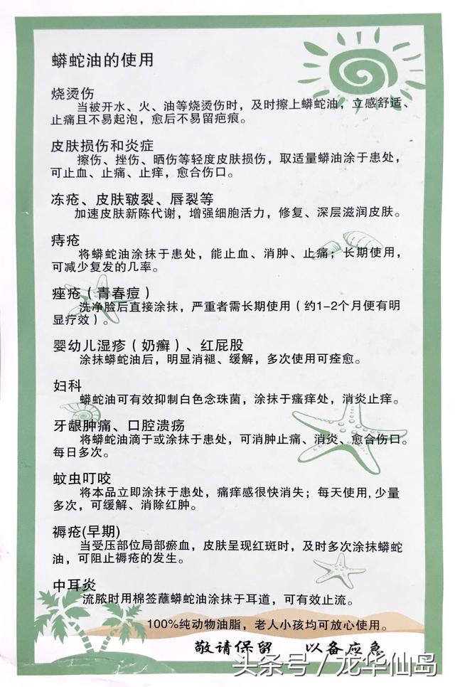 热带雨林探险之旅遇见蛇,亚公顶森林公园蟒蛇