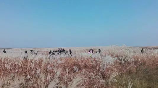 乘风破浪的励志诗词,乘风破浪的原创诗