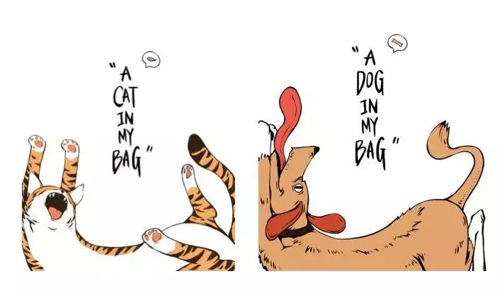 小众设计师帆布袋,高颜值帆布袋白领