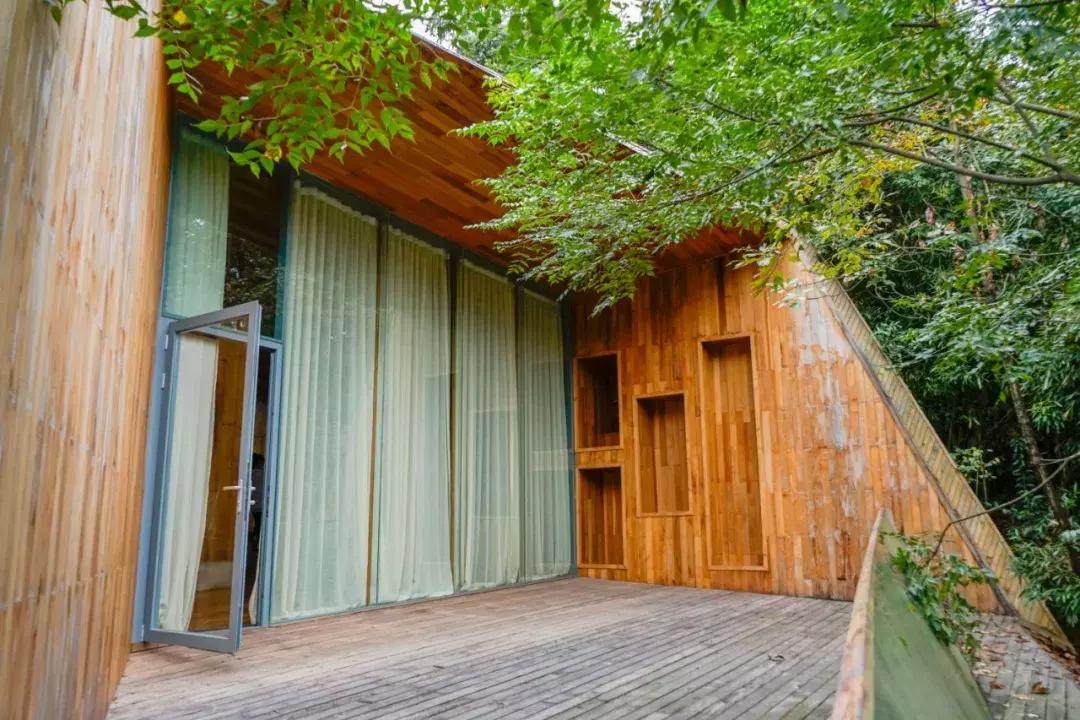 这片媲美京都的红叶之森只藏15栋梦幻树屋，杭州1.5h直达！