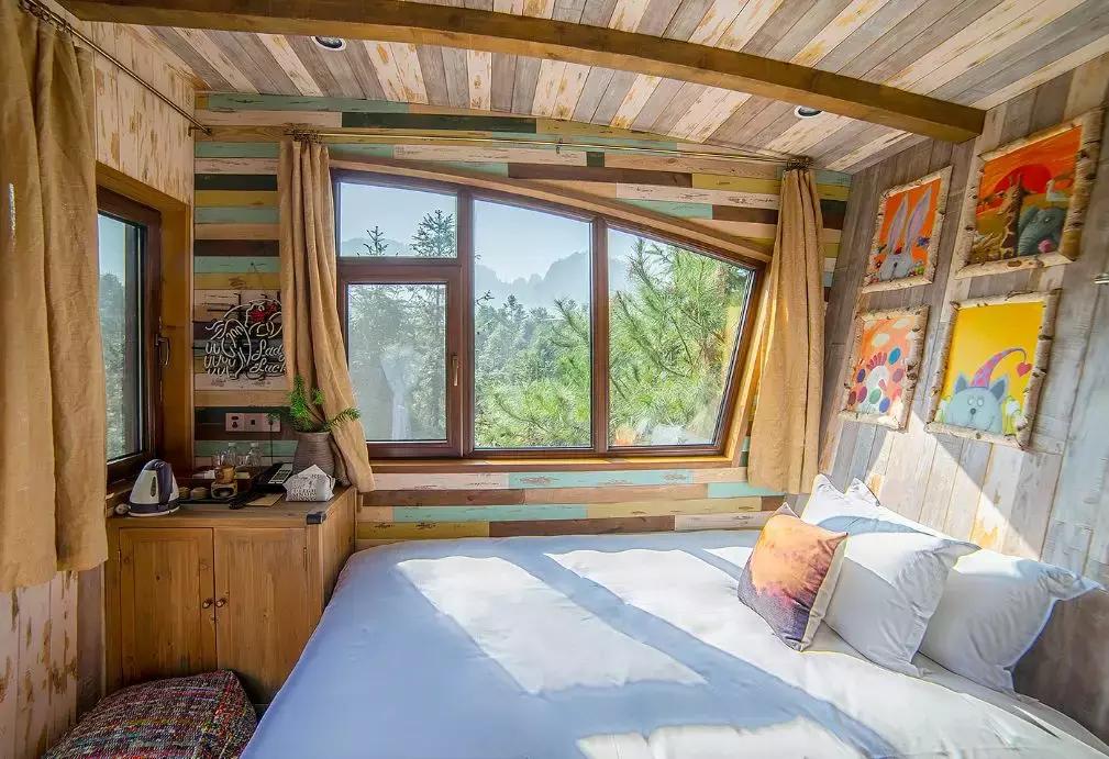 这片媲美京都的红叶之森只藏15栋梦幻树屋，杭州1.5h直达！