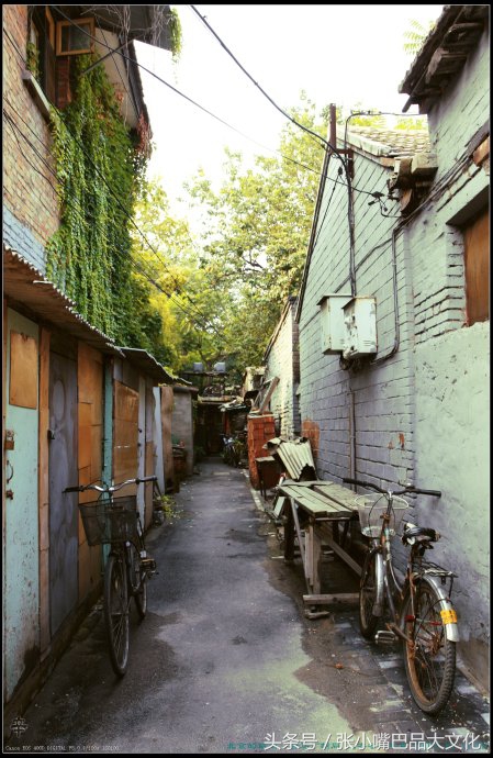 胡同深深,散文胡同