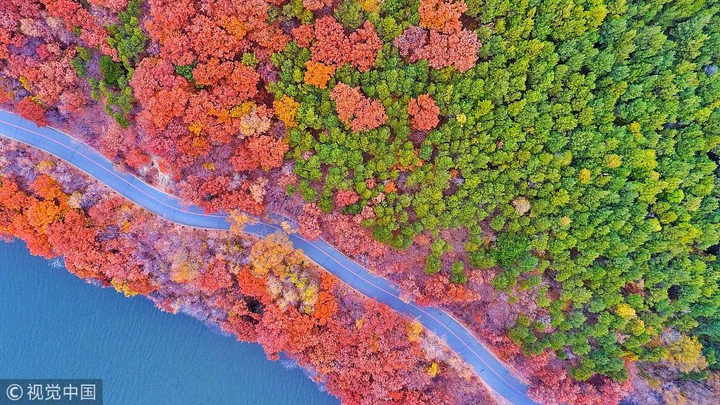 这就是长春歌曲,这里是长春