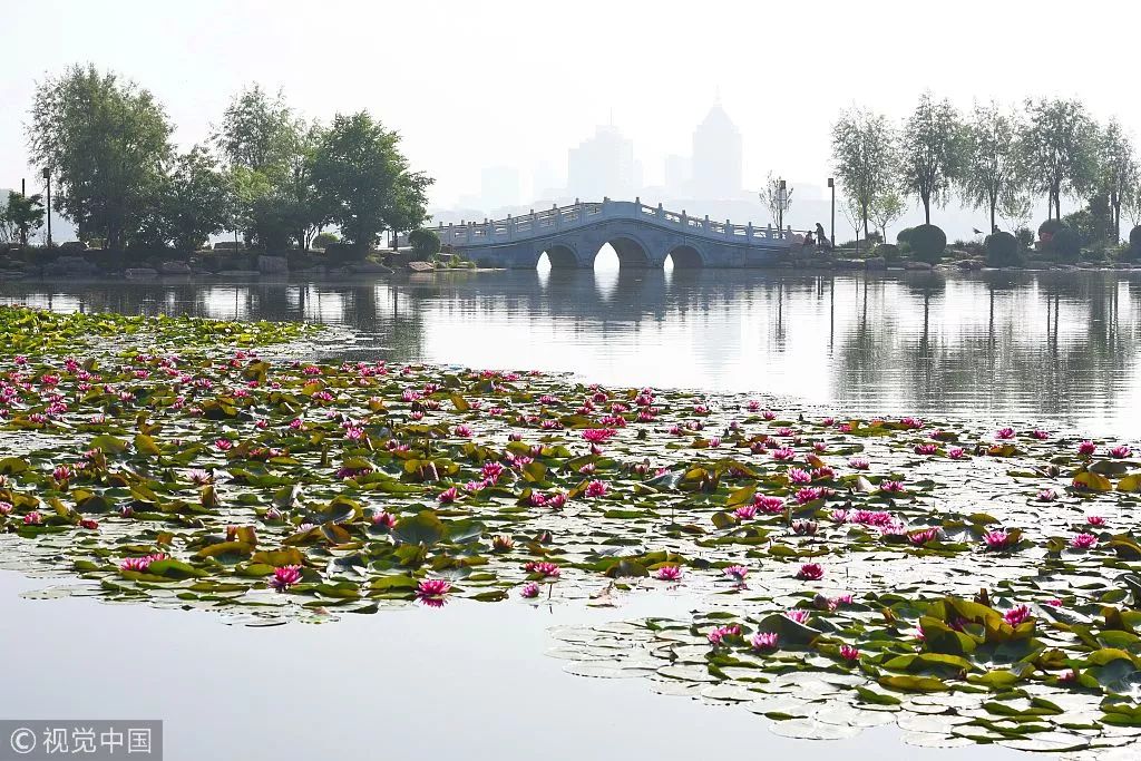 这就是长春歌曲,这里是长春