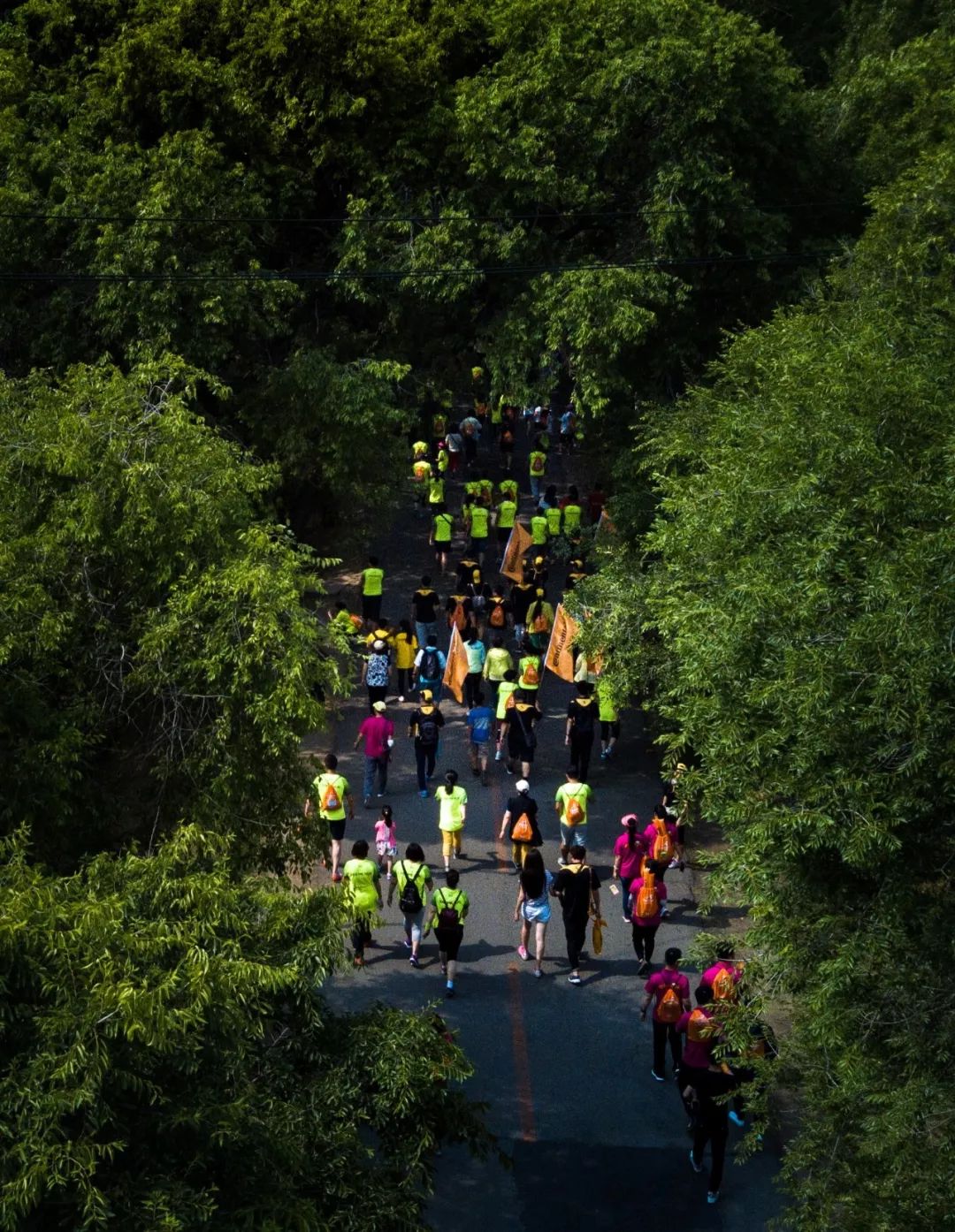 这就是长春歌曲,这里是长春